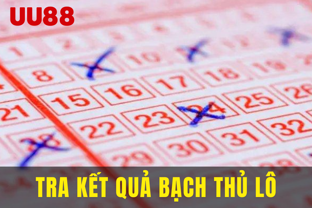 Người chơi kiểm tra kết quả Bạch Thủ Lô trên điện thoại với giao diện hiển thị cặp số trúng thưởng rõ ràng